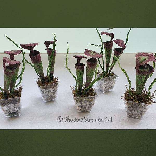 Mini pot de plantes carnivores en papier - Sarracenia fait main