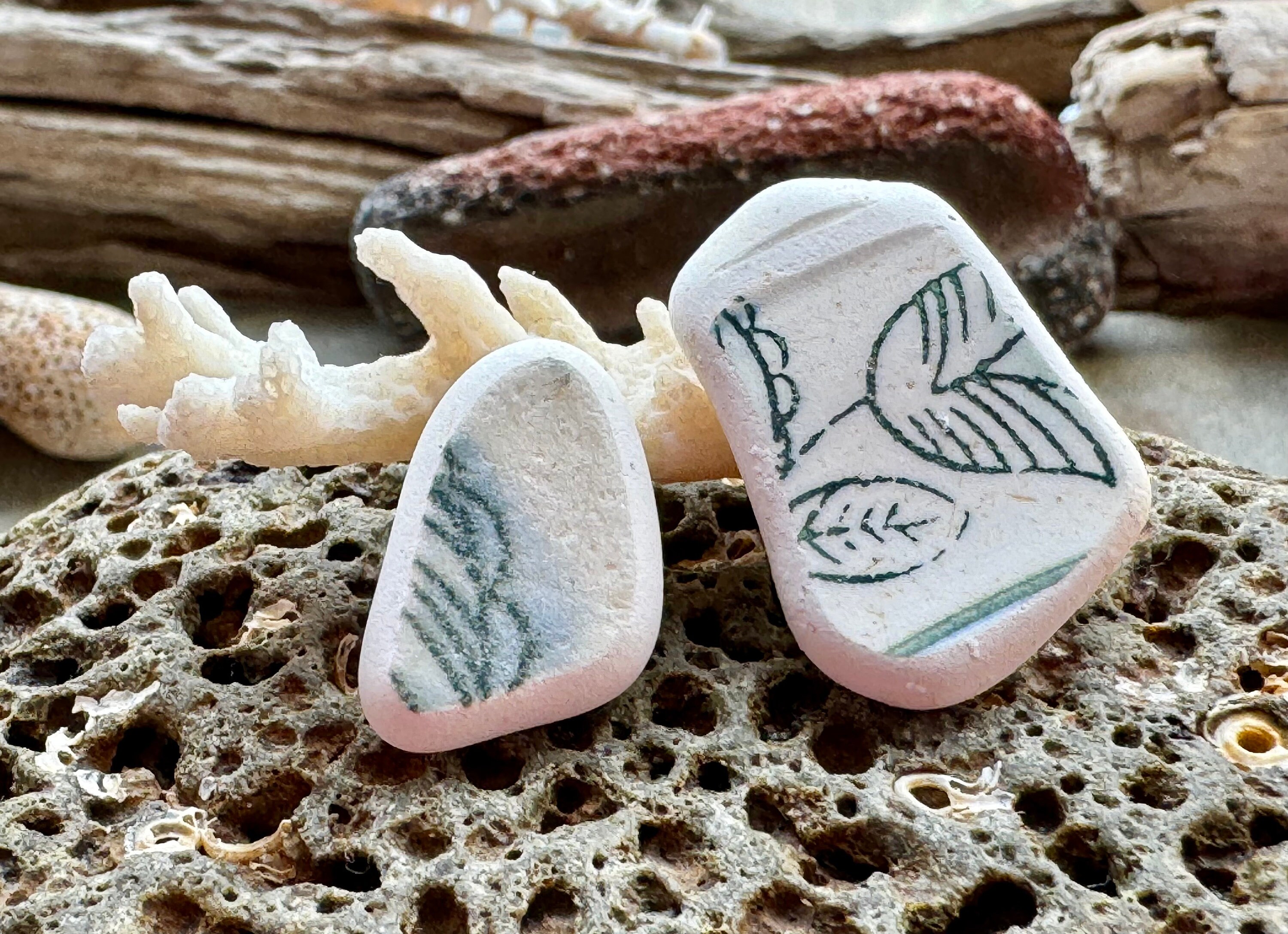 Genuine sea pottery B1787