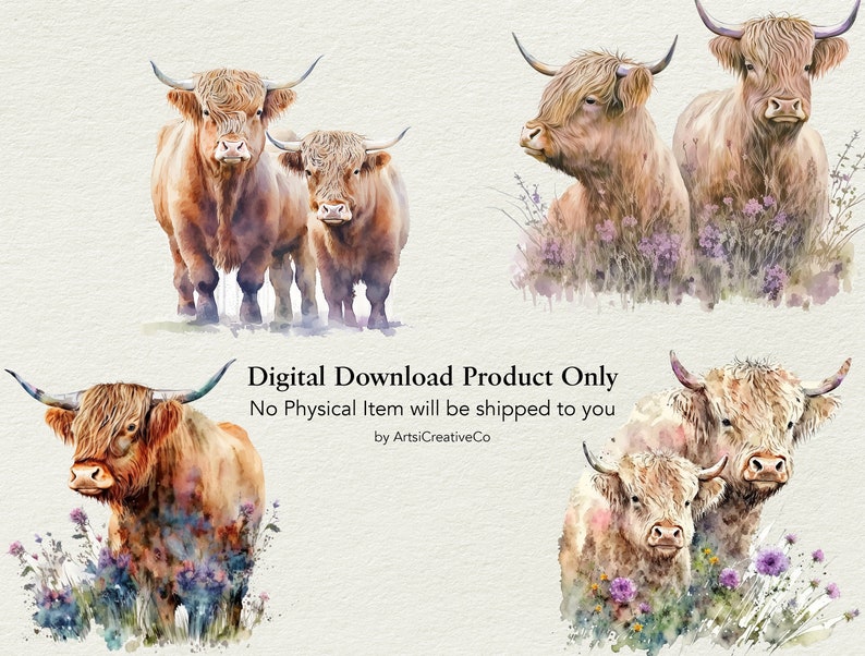 Highland Cows Clipart PNG Bundle Watercolor Animal Clipart - Etsy