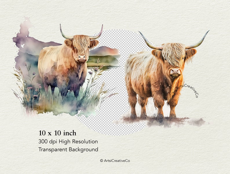 Highland Cows Clipart PNG Bundle Watercolor Animal Clipart - Etsy