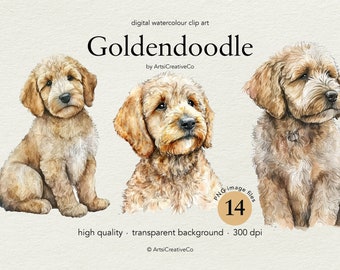 Goldendoodle Dog Clipart PNG Bundle, Watercolor Dog Clipart Portrait, Prints, Cute Dogs, Puppy Clip art, Transparent PNGs, Animals, Pets