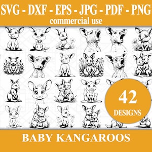 Baby Kangaroos SVG Bundle - 42 Animal Vector Illustrations for Cricut - Digital Download available as Svg, Dxf, Eps, Jpg, Pdf, Png