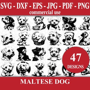 Maltese Dog SVG Bundle - 47 Dog Vector Illustrations for Cricut - Animal Digital Download available as Svg, Dxf, Eps, Jpg, Pdf, Png