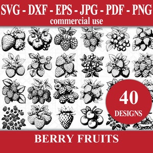 Berry Fruits SVG Bundle - 40 Fruits Vector Illustrations for Cricut - Digital Download available as Svg, Dxf, Eps, Jpg, Pdf, Png