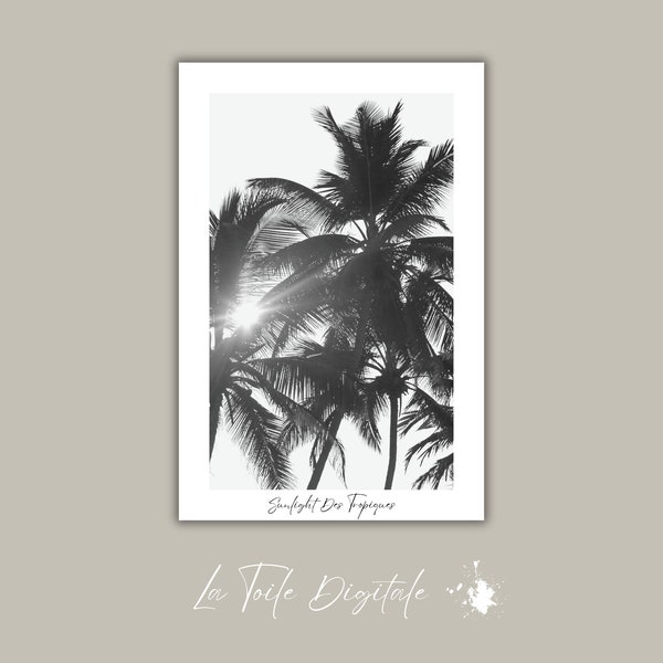 Palmiers radieux, Art imprimable captivant avec des palmiers ensoleillés, Adoptez la Tranquillite Tropicale dans votre maison, Art Wandbild
