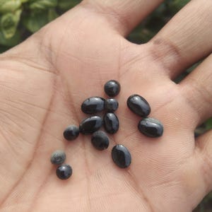 Puede incluir: Una colección de piedras preciosas ovaladas negras, algunas con un ligero brillo, se muestran en la palma de una persona.