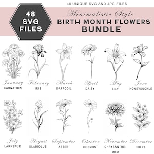 Mois de naissance fleurs SVG Bundle, 48 dessins, impression de fleur de mois de naissance bricolage, botanique SVG, Floral Clip Art Bundle, fond Transparent