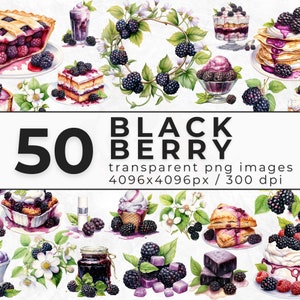 Watercolor Blackberry Clipart - Clipart Bundle of Blackberries - Blackberry PNG for Digital Download - Commercial License - Commercial Use