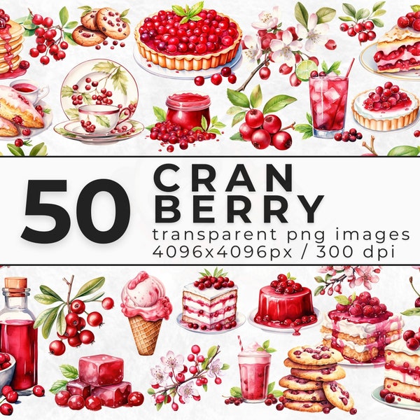 Watercolor Cranberry Clipart - Clipart Bundle of Cranberries - Cranberry PNG for Digital Download - Commercial License - Commercial Use
