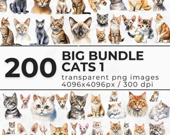 Watercolor Cats Big Bundle 1 Clipart - Cute Bundle of Unique, Longhaired, Shorthaired, Quirky Cats - Kittens PNG - Commercial Use