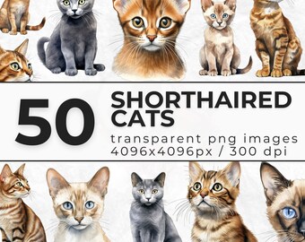 Watercolor Shorthaired Cats Clipart - Clipart Bundle of Siamese, Bengal, Abyssinian, Russian Blue, Tonkinese Kitten - Commercial License