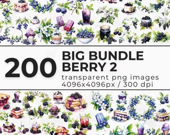 Watercolor Berries Big Bundle 2 Clipart - Berry Bundle of Blackberries, Blueberries, Blackcurrants, Huckleberries - Fruit - Commercial Use