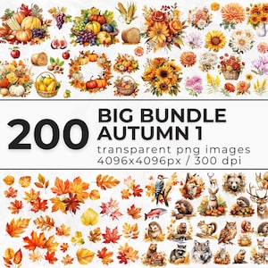 Watercolor Autumn Big Bundle 1 Clipart - Fall Bundle of Harvest, Flowers, Leaves, Animals - Fall PNG - Commercial Use - Commercial License