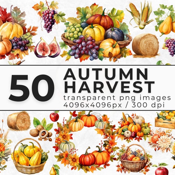 Aquarell Herbst Ernte Clipart - Clipart Bundle Herbst Lebensmittel - Ernte PNG für digitalen Download - kommerzielle Lizenz - kommerzielle Nutzung