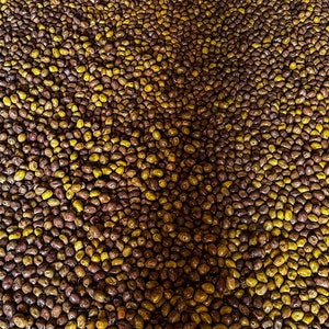 Salt Cured Halkidiki Olives Alopix 300g image 7