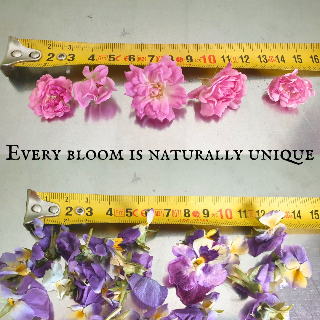Dried Edible Flowers for Cakes Decorating Freeze Dried Flowers Edible Cake Toppers Rose Cupcakes
