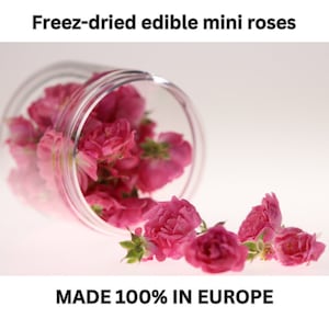 Dried edible flowers for cakes decorating | Freeze dried flowers | Edible cake toppers | Rose cupcakes | Flowers for cake decoration | Rose