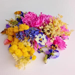 Torkade ätbara blommor för tårtdekoration | Frystorkade blommor | Ätbara cupcake-dekorationer | Födelsedagstårta Babyshower Bröllopstårteblommor