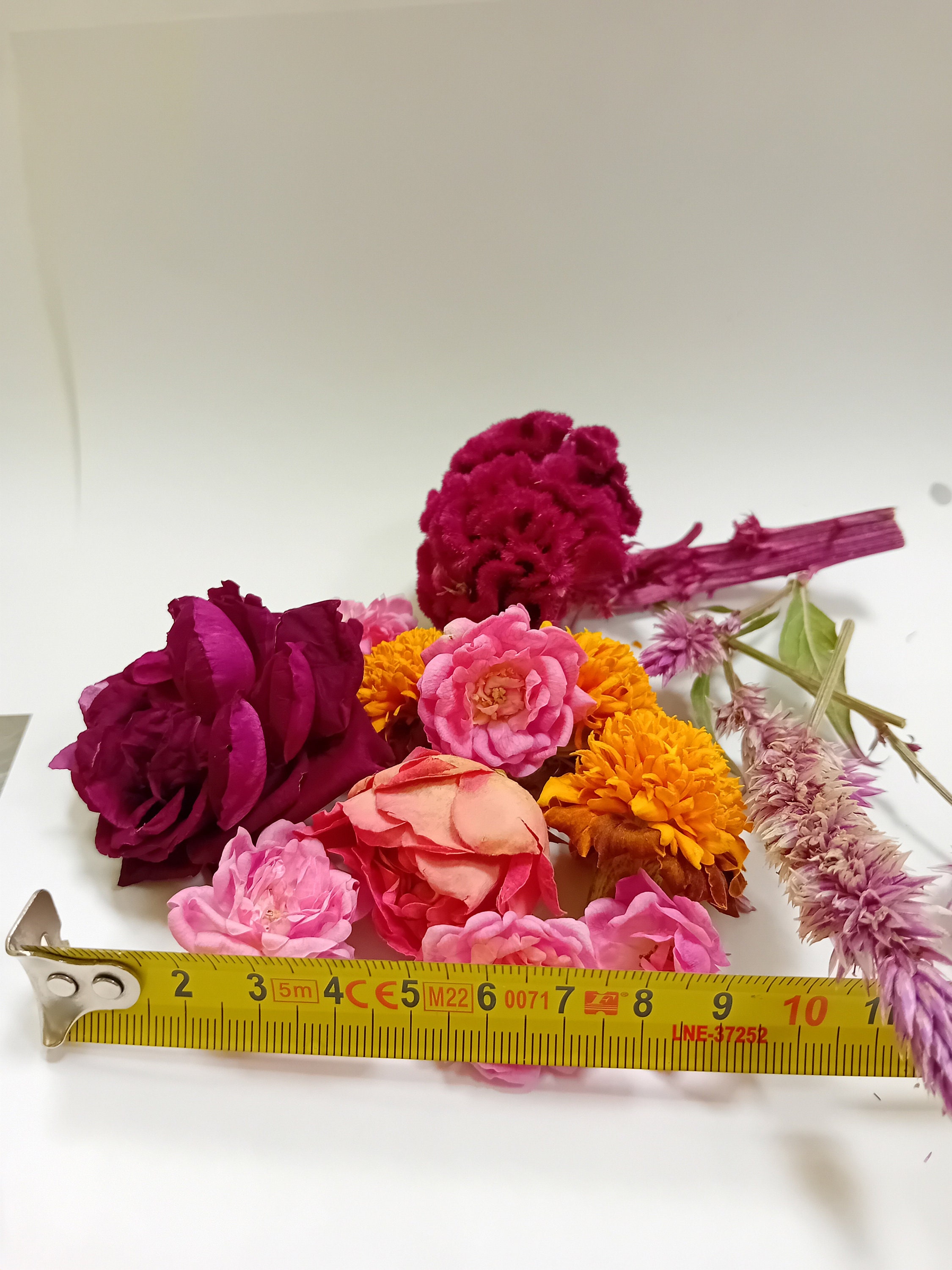 Dried Edible Flowers for Cakes Decorating Freeze Dried Flowers Edible Cake Toppers Rose Cupcakes