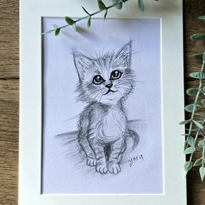 A pencil drawing for an adorable kitten