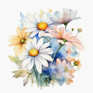 daisies - pattern - watercolor flowers - beautiful flowers - flowers PNG