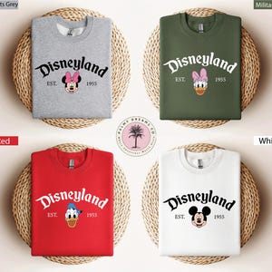 Custom Disneyland Sweatshirt, Mickey and Friends Family Sweater