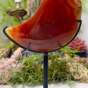 May include: A polished crescent moon-shaped carnelian stone with deep orange and red hues, featuring translucent edges and natural banding. The stone is securely held in a black metal display stand with a circular base and a vertical support.