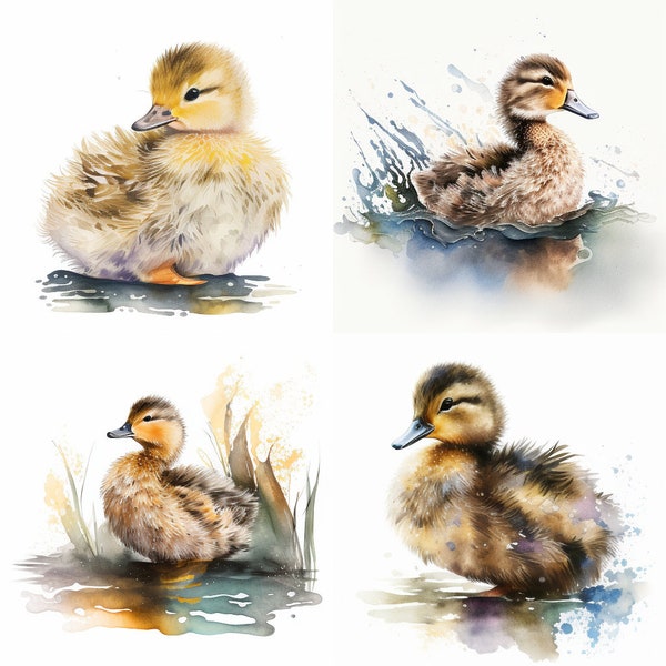 Fluffy Duck Watercolor, Cute Nature Animal Sublimation, Photo Bundle, Watercolor clipart, Digital download, Set of 4, Wall Art Decor