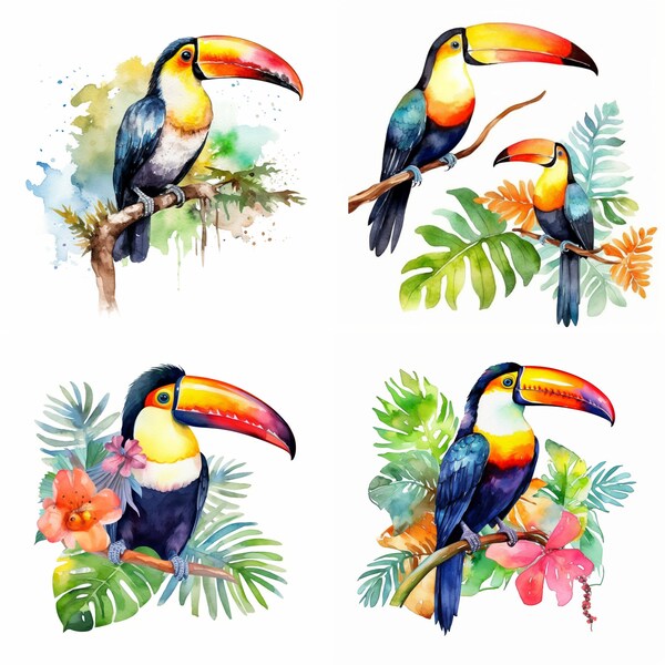 Watercolor Cute Toucan, Clipart, Card Making, Nature, Wall Art Decoration, Animal, Printable Digital Download, Set of 4, HD
