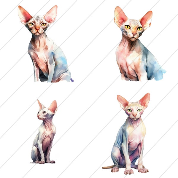 Digital Watercolored Sphynx Cat Art, Clipart, Card Making, Wall Art Decoration, Printable Digital Download, Set of 4, HD, Animal Art