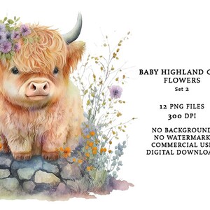 Highland Cow Flowers Illustrations, Pack of 12 PNG for Digital Crafting ...