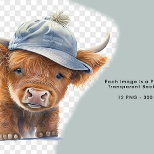 Cute Baby Highland Cow Illustrations Pack of 12 PNG for Digital ...