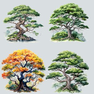 May include: Four watercolor paintings of trees. The first tree is a green bonsai tree with a waterfall in the background. The second tree is a large green tree with a thick trunk. The third tree is a colorful tree with orange, yellow, and green leaves. The fourth tree is a green bonsai tree with a thick trunk.