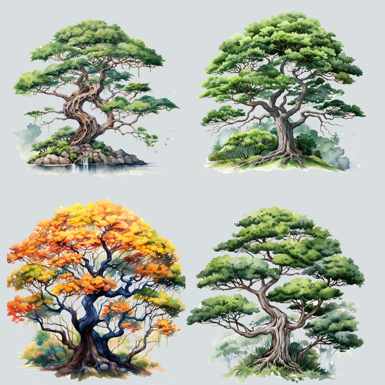 May include: Four watercolor paintings of trees. The first tree is a green bonsai tree with a waterfall in the background. The second tree is a large green tree with a thick trunk. The third tree is a colorful tree with orange, yellow, and green leaves. The fourth tree is a green bonsai tree with a thick trunk.