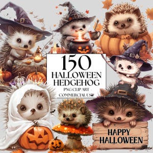 150 Halloween Hedgehog Clipart, Halloween Woodland Clipart, Cute Hedgehog PNG, Halloween Clipart, for Instant Download and Commercial Use