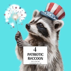 4th of July Raccoon Clipart, Patriotic Raccoon Clipart, American Pride PNG, 4th of july PNG, Veteran day, Memorial Day Commercial License