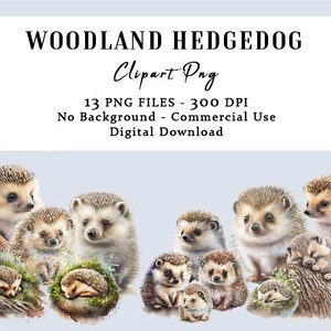 Watercolor Hedgehog Clipart, 13 PNG Files for Commercial Use, No background, Woodland Animals Clipart, Nursery Art, Forest Clipart