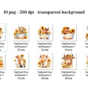 Highland Cow Clipart Cow Sunflowers Clipart Baby Highland Cow PNG ...