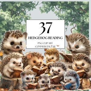 Woodland Hedgehog Clipart, Enchanted Forest Clipart, Watercolor Hedgehog Reading Clipart, Woodland Animals Reading, Woodland Nursery Clipart