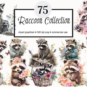 Raccoon Collection: Watercolor Raccoon Clipart Baby Raccoon Clipart Floral Raccoon Clipart Peonies Raccoon Clipart, Woodland Animals Clipart