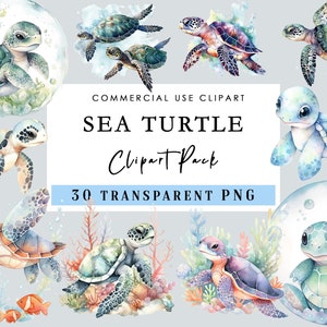 Sea Turtle Clipart Baby Turtle Watercolor Ocean Animals Nautical Clipart 30 PNG Transparent Background for Commercial Use
