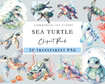 Sea Turtle Clipart Baby Turtle Watercolor Ocean Animals Nautical Clipart 30 PNG Transparent Background for Commercial Use