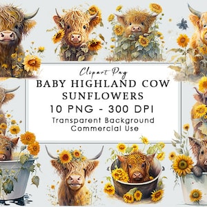 Highland Cow Sunflowers Illustrations PNG for digital crafting and paper craft, Watercolor Highland Cow Sunflowers Clipart floral clipart