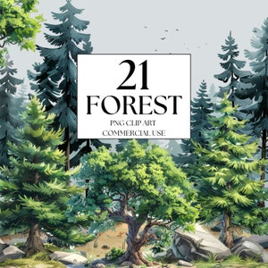 Clipart foresta, Clipart albero di pino, Clipart foresta incantata, Clipart foresta magica, Clipart bosco acquerello, Foresta fata Clipart di pini