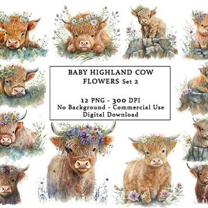Highland Cow Flowers Illustrations, Pack of 12 PNG for digital crafting and paper craft, Watercolor Baby Highland Cow Flowers Clipart png