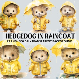 Clipart de ouriço em capa de chuva, animais em capa de chuva, clipart de ouriço chuvoso PNG, clipart aquarela, decoração de berçário, scrapbooking, Junk Journal