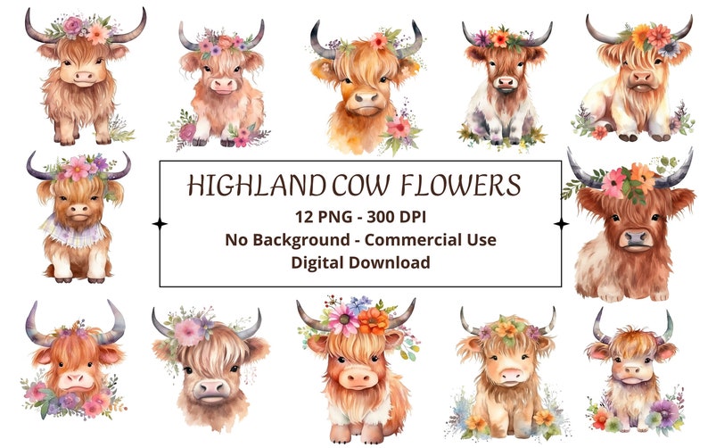 Highland Cow Flowers Illustrations Pack of 12 PNG for Digital Crafting ...