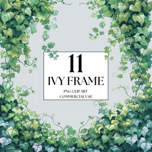 Watercolor Ivy Clipart, Climbing Ivy Vines Clipart, Ivy PNG, Ivy Frames, Plant Clipart, Woodland Clipart, Woodland Nursery Clipart,