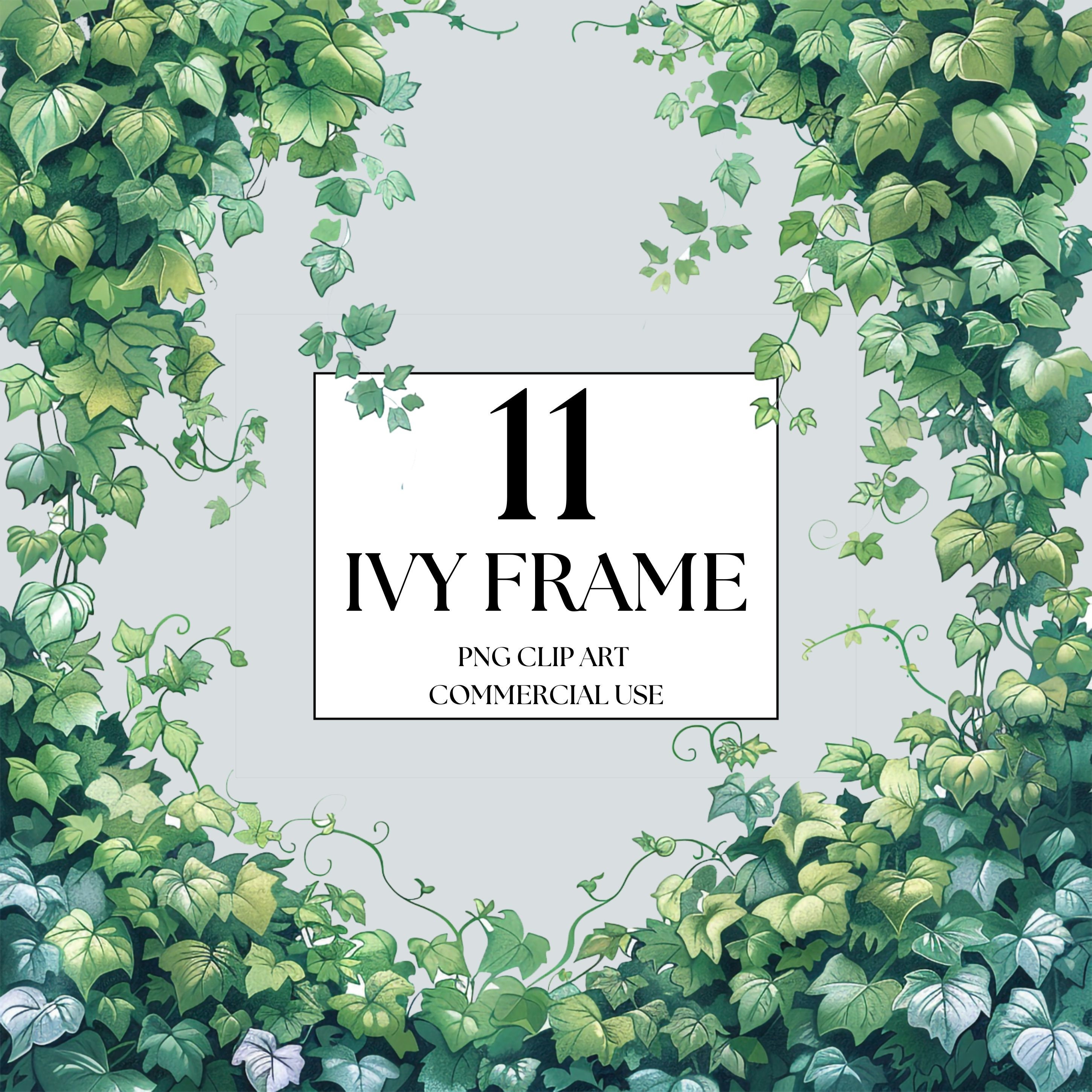 Watercolor Ivy Clipart, Climbing Ivy Vines Clipart, Ivy PNG, Ivy Frames, Plant Clipart, Woodland Clipart, Woodland Nursery Clipart,