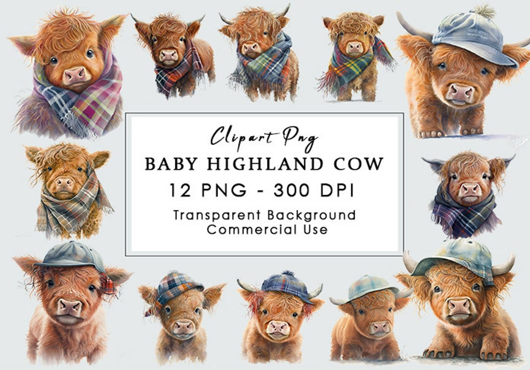 Cute Baby Highland Cow Illustrations Pack of 12 PNG for Digital ...